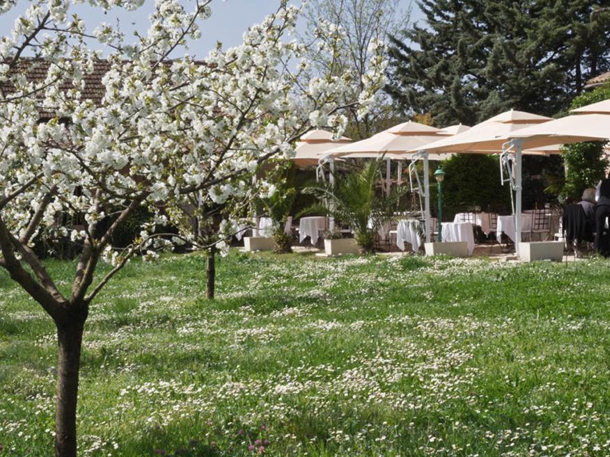 Hotel-Restaurant Le Moulin De La Camandoule Fayence Kültér fotó